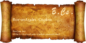 Borostyán Csaba névjegykártya