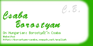csaba borostyan business card